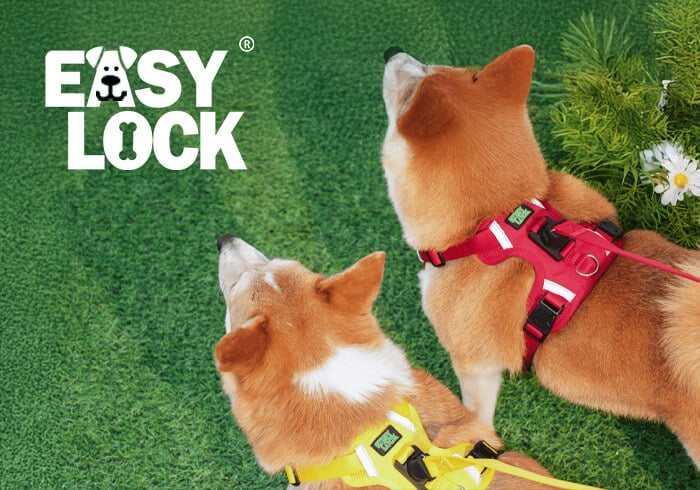 易利扣 EASY LOCK｜犬哥網站設計公司